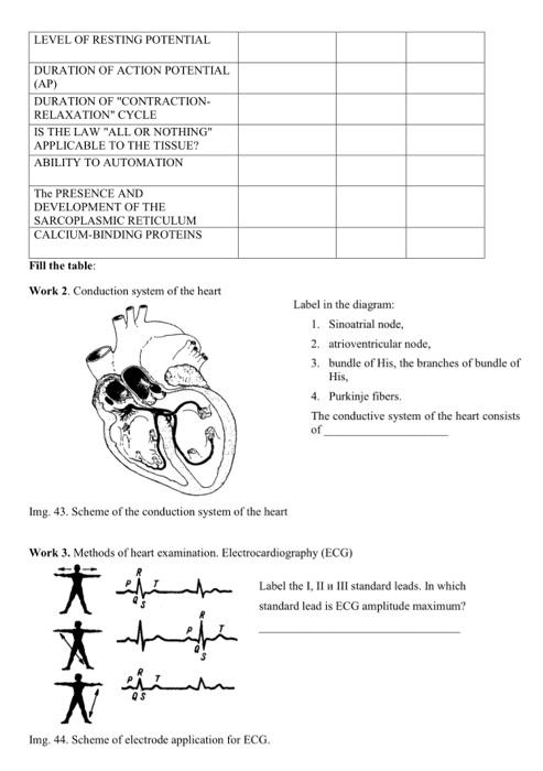 Level Of Resting Potential Duration Of Action Potential Ap Duration Of Contraction Relaxation Cycle Is The Law All 1