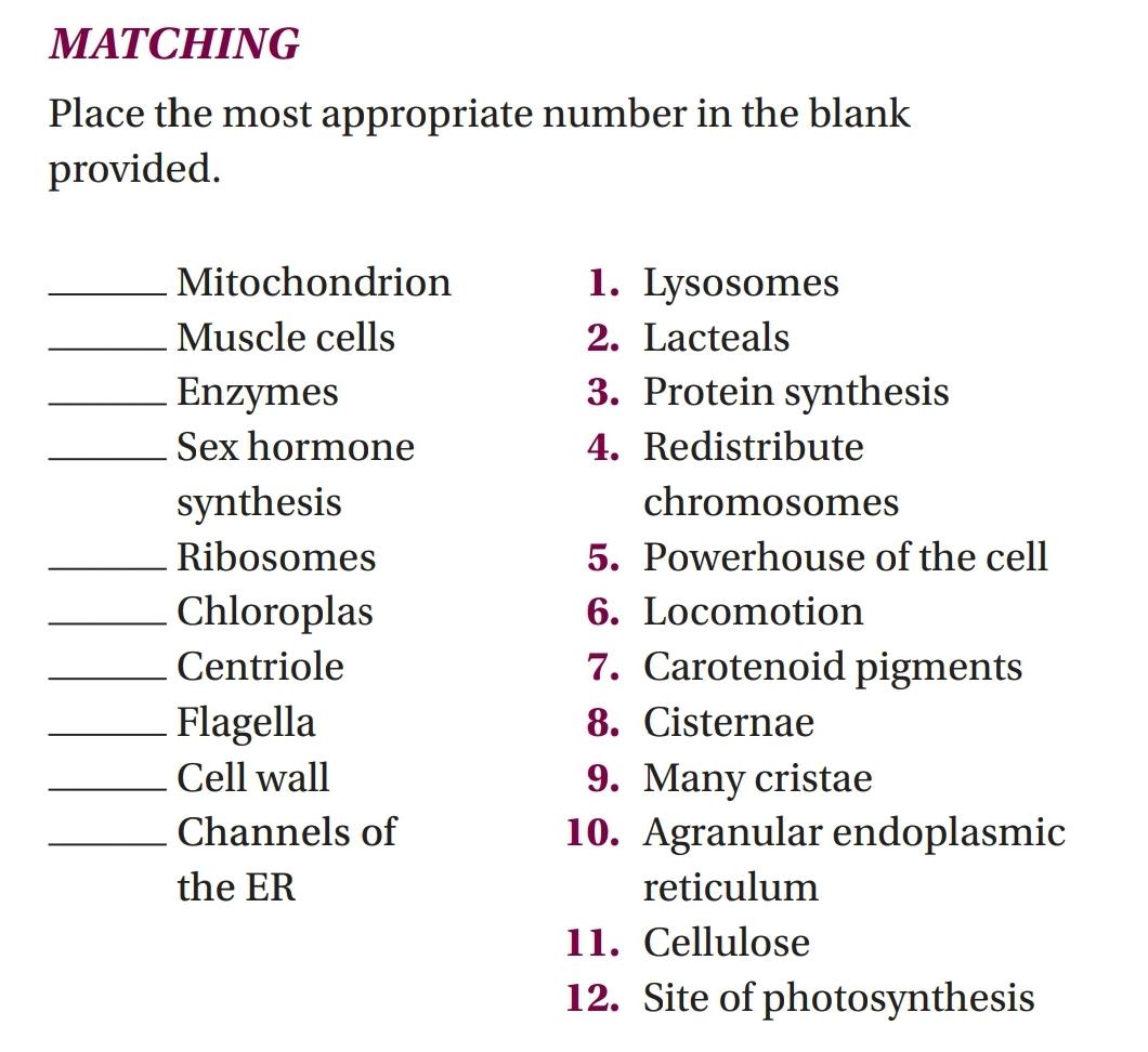 Matching Place The Most Appropriate Number In The Blank Provided Mitochondrion 1 Lysosomes 2 Lacteals Muscle Cells En 1