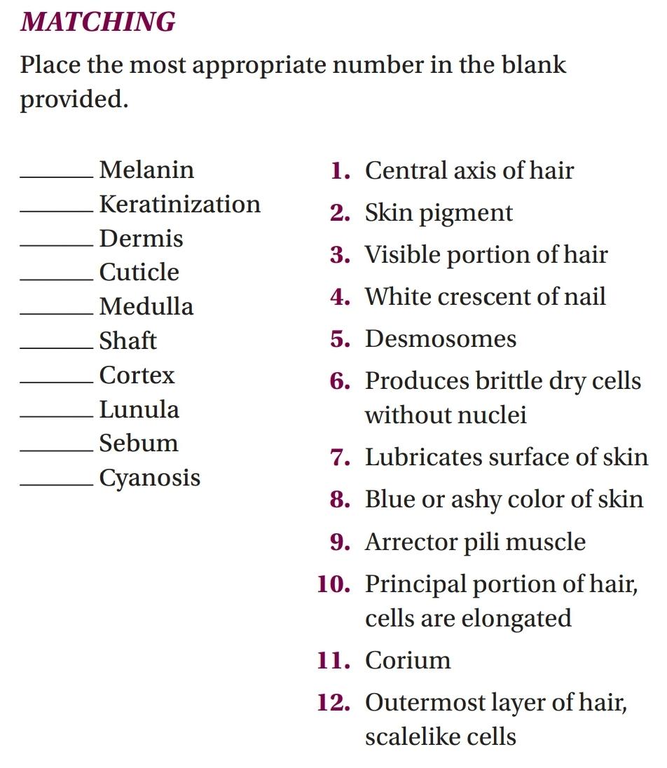 Matching Place The Most Appropriate Number In The Blank Provided 1 Central Axis Of Hair 2 Skin Pigment 3 Visible Por 1