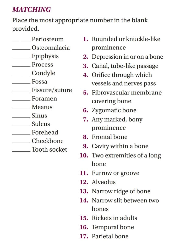 Matching Place The Most Appropriate Number In The Blank Provided Periosteum 1 Rounded Or Knuckle Like Osteomalacia Pro 1