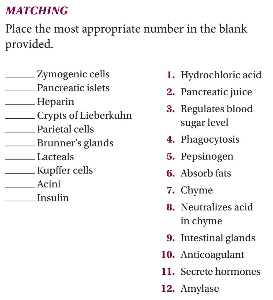 Matching Place The Most Appropriate Number In The Blank Provided Zymogenic Cells 1 Hydrochloric Acid Pancreatic Islets 1