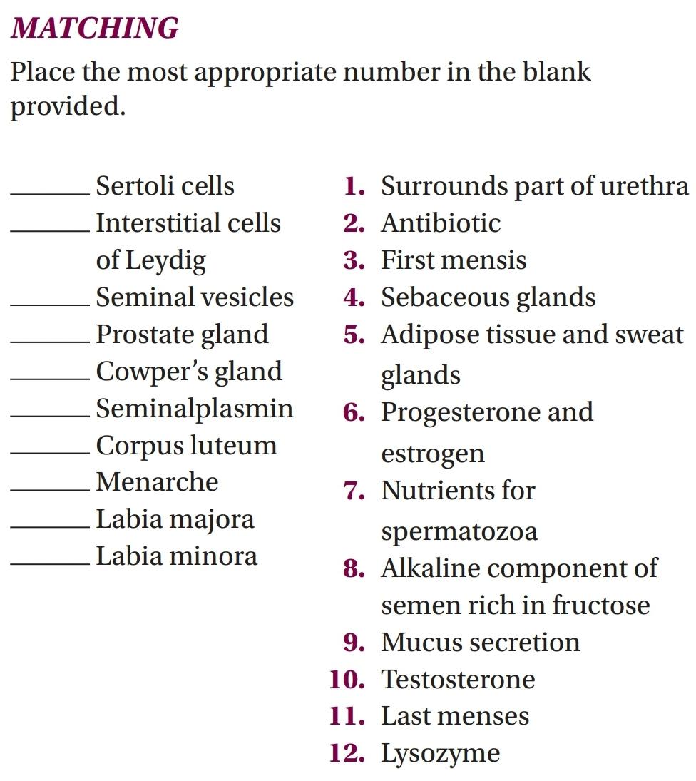 Matching Place The Most Appropriate Number In The Blank Provided Sertoli Cells Interstitial Cells Of Leydig Seminal Ves 1