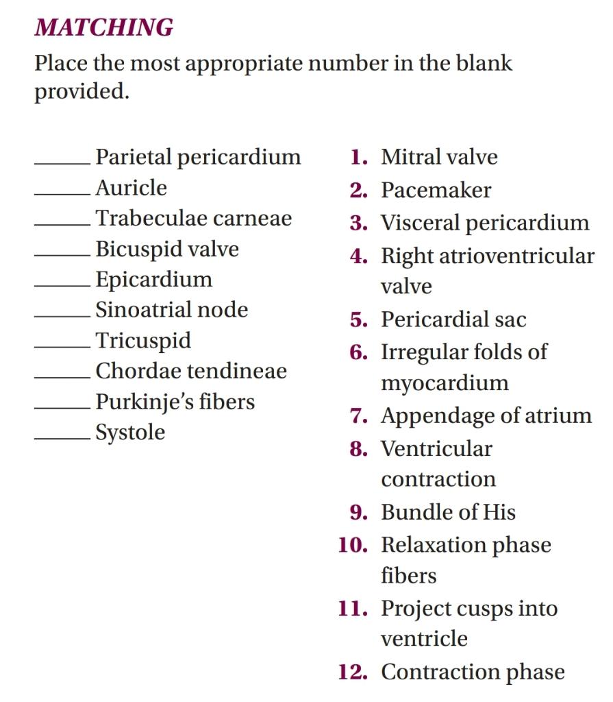 Matching Place The Most Appropriate Number In The Blank Provided Parietal Pericardium 1 Mitral Valve Auricle 2 Pacema 1