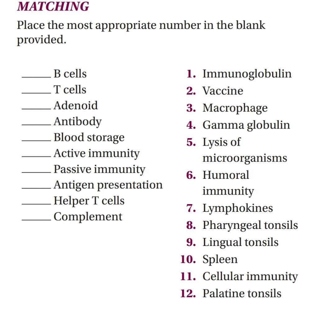 Matching Place The Most Appropriate Number In The Blank Provided B Cells 1 Immunoglobulin 2 Vaccine T Cells Adenoid 3 1