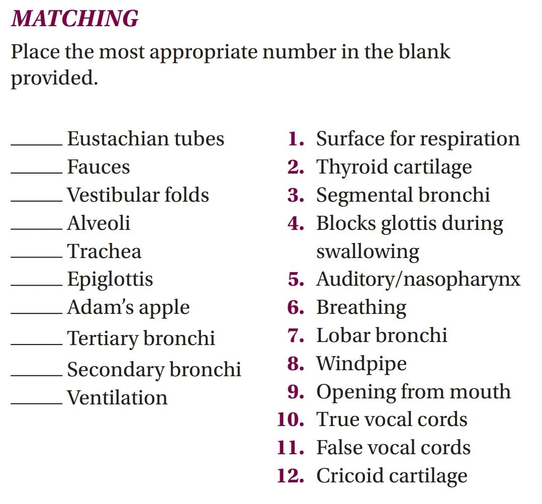 Matching Place The Most Appropriate Number In The Blank Provided Eustachian Tubes Fauces Vestibular Folds Alveoli Trach 1