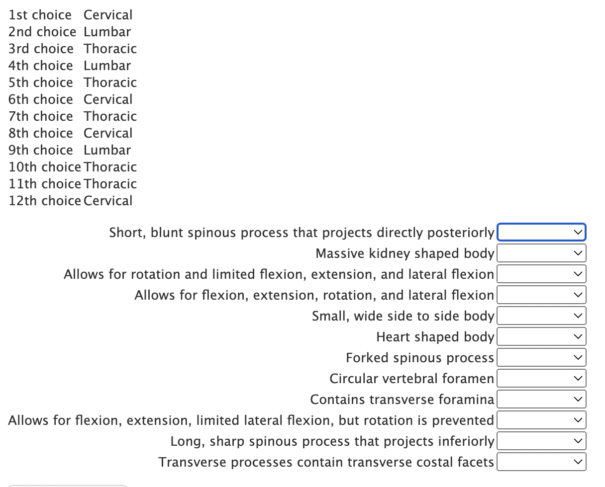Compare And Contrast Cervical Thoracic And Lumbar Vertebrae Match The Description To The Type Of Vertebrae Below 1
