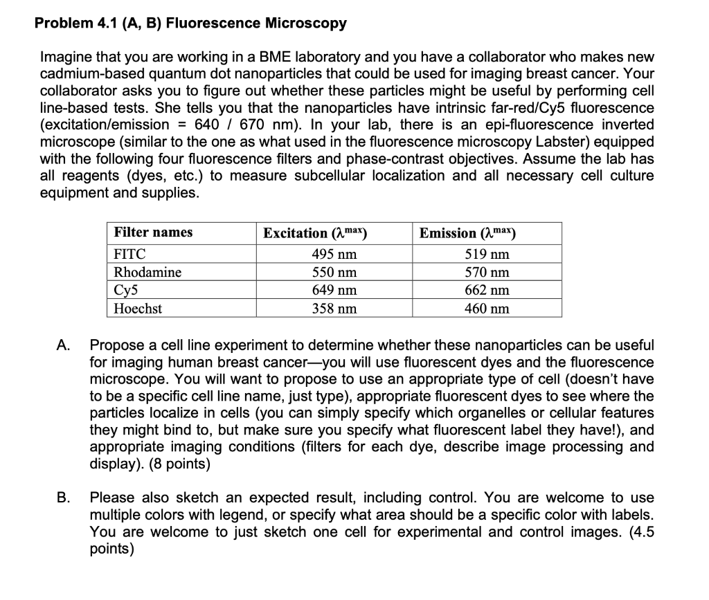 Problem 4 1 A B Fluorescence Microscopy Imagine That You Are Working In A Bme Laboratory And You Have A Collaborator 1