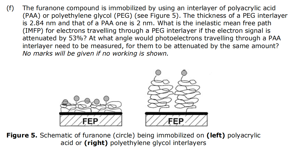 F The Furanone Compound Is Immobilized By Using An Interlayer Of Polyacrylic Acid Paa Or Polyethylene Glycol Peg 1