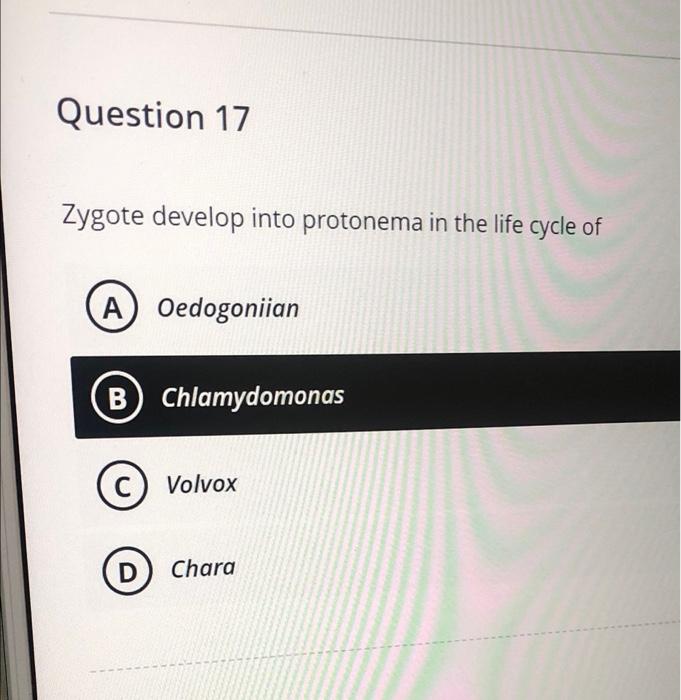 Question 17 Zygote Develop Into Protonema In The Life Cycle Of A Oedogoniian B Chlamydomonas C Volvox C D Chara Que 1
