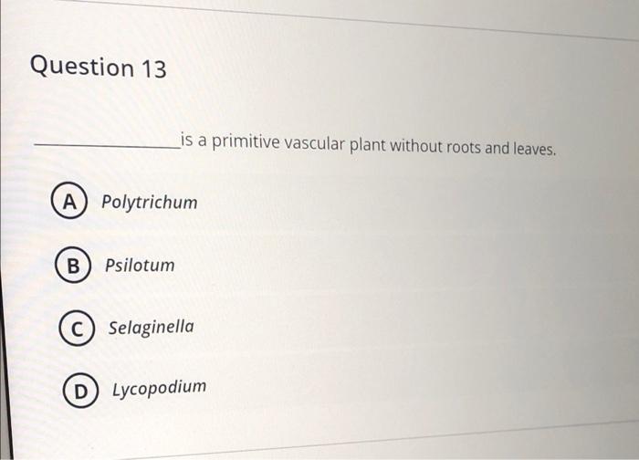 Question 17 Zygote Develop Into Protonema In The Life Cycle Of A Oedogoniian B Chlamydomonas C Volvox C D Chara Que 4