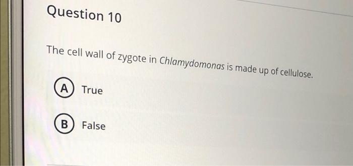 Question 17 Zygote Develop Into Protonema In The Life Cycle Of A Oedogoniian B Chlamydomonas C Volvox C D Chara Que 7