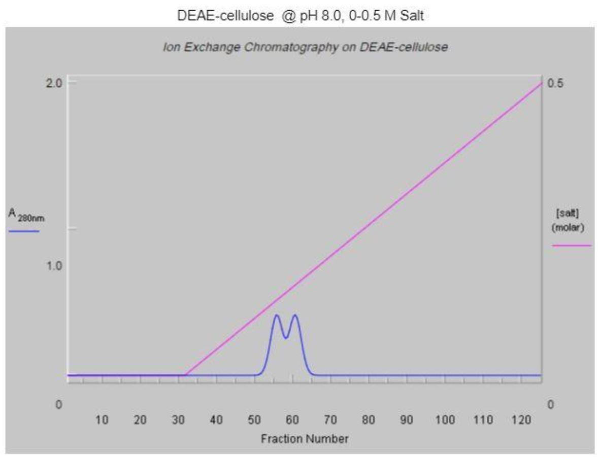 3 Examine The Chromatogram For Q Sepharose Run At Ph 10 Specifically The One That Employed A 0 0 5 M Nacl Gradient At 5