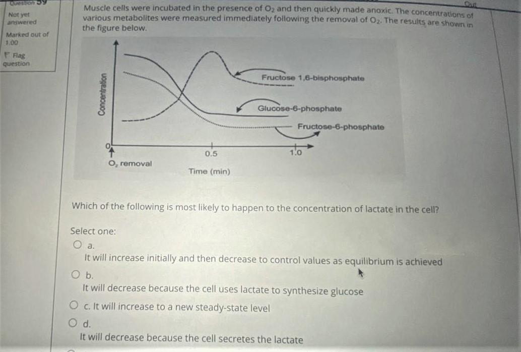 Question 39 Not Yet Answered Marked Out Of 1 00 F Flag Question Out Muscle Cells Were Incubated In The Presence Of O An 1