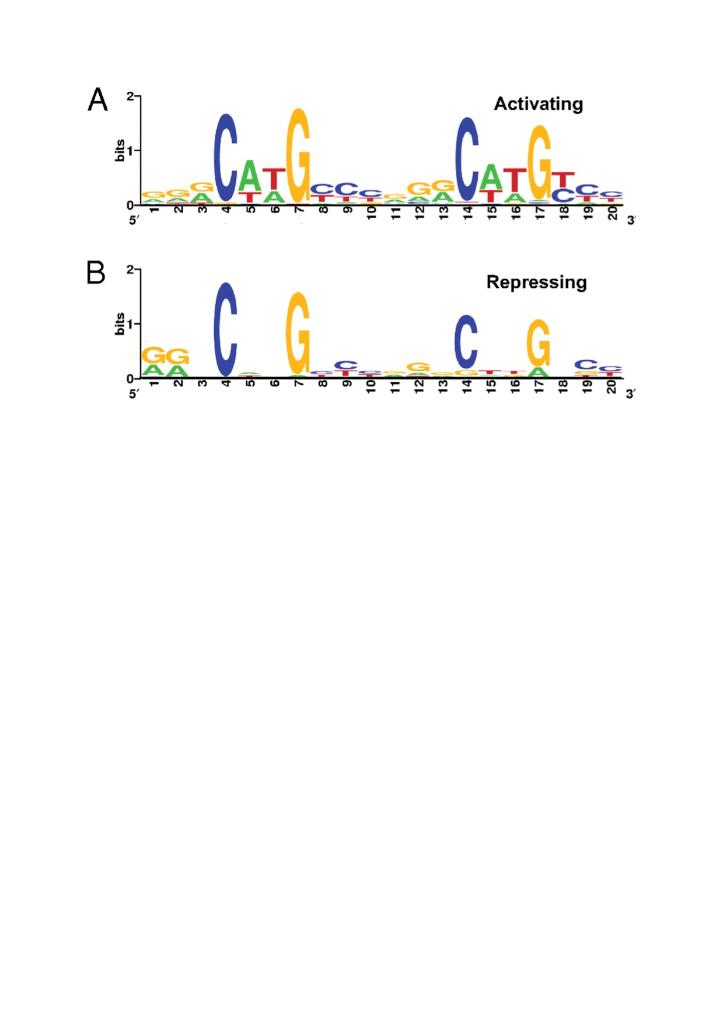 Transcription Factor P53 Recognises Different Classes Of Dna Binding Sites With Different Nucleotide Sequences One Clas 1