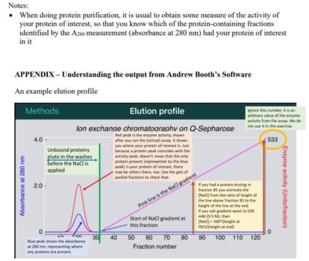 4 Examine The Chromatogram For Q Sepharose Run At Ph 10 Specifically The One That Employed A 0 1 M Nacl Gradient At W 9