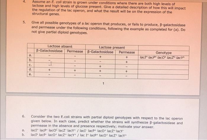Assume An E Coli Strain Is Grown Under Conditions Where There Are Both High Levels Of Lactose And High Levels Of Glucos 1