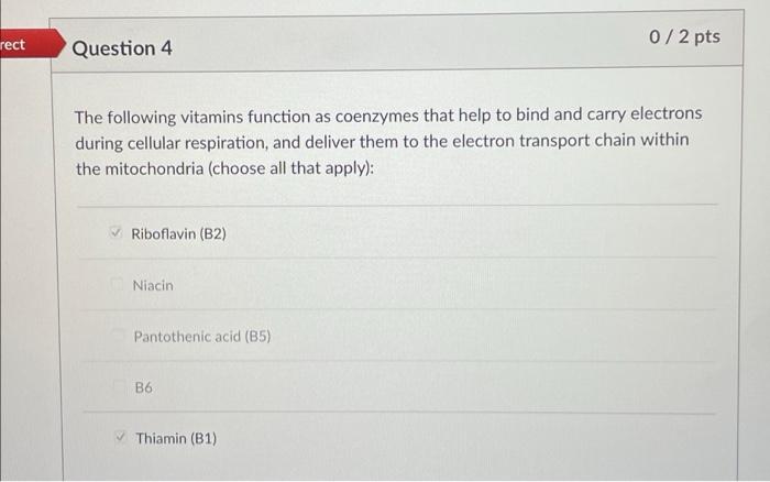 Rect 0 2 Pts Question 4 The Following Vitamins Function As Coenzymes That Help To Bind And Carry Electrons During Cellul 1