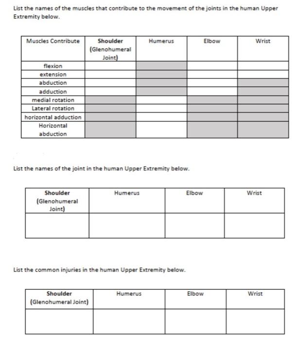 List The Names Of The Muscles That Contribute To The Movement Of The Joints In The Human Upper Extremity Below Muscles 1