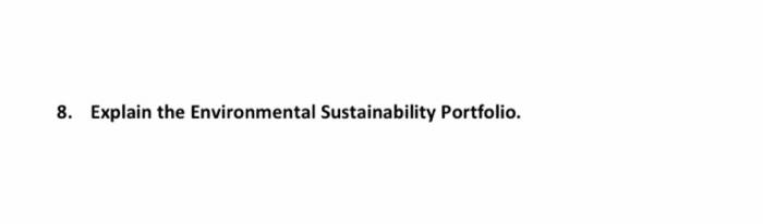 8 Explain The Environmental Sustainability Portfolio 1