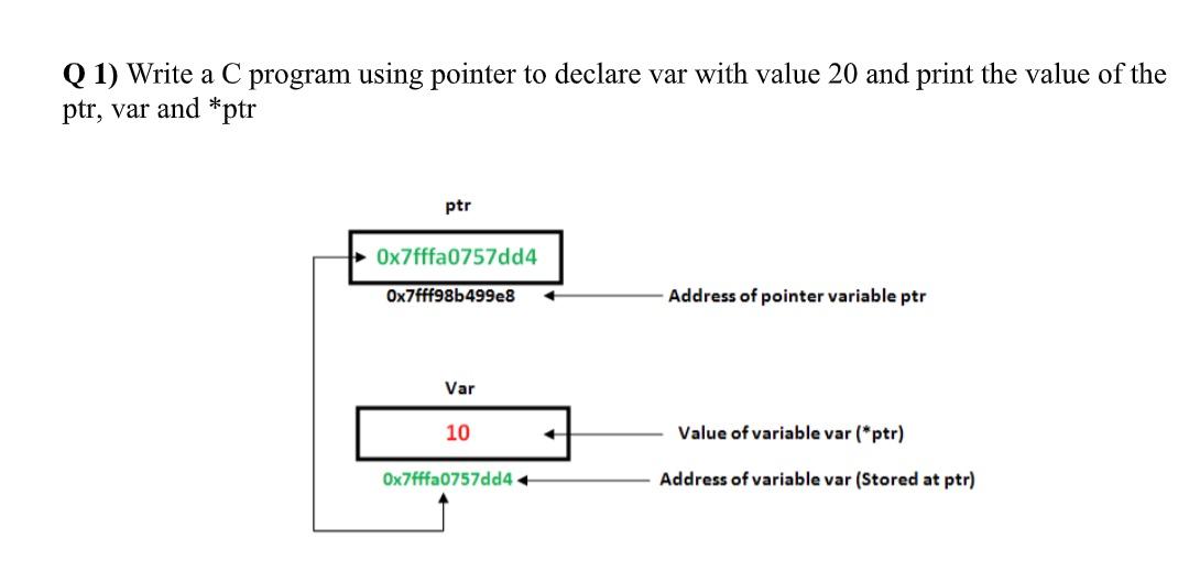 Q 1 Write A C Program Using Pointer To Declare Var With Value 20 And Print The Value Of The Ptr Var And Ptr Ptr Ox7ff 1