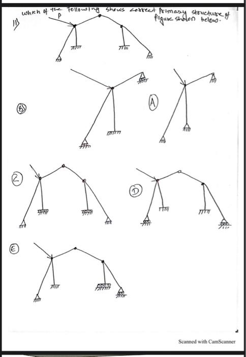 Which Of The Following Shows Correct Primary Structure Of Figure Shotlon Below 77777 77 In 6 7777777 Sta Xa Scanned 1