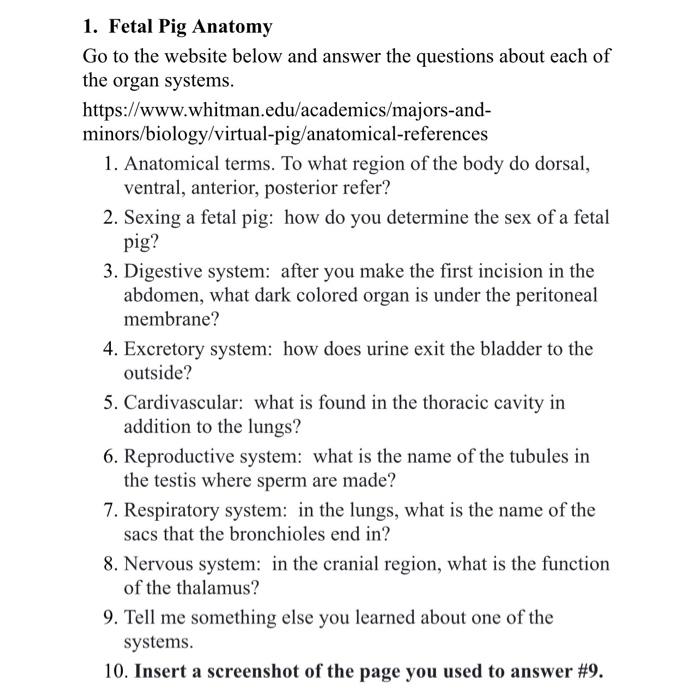 Link For Question 1 Https Www Whitman Edu Academics Majors And Minors Biology Virtual Pig Anatomical References Link F 1