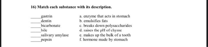 16 Match Each Substance With Its Description Gastrin Dentin Bicarbonate Bile Salivary Amylase Pepsin A Enzyme That Ac 1