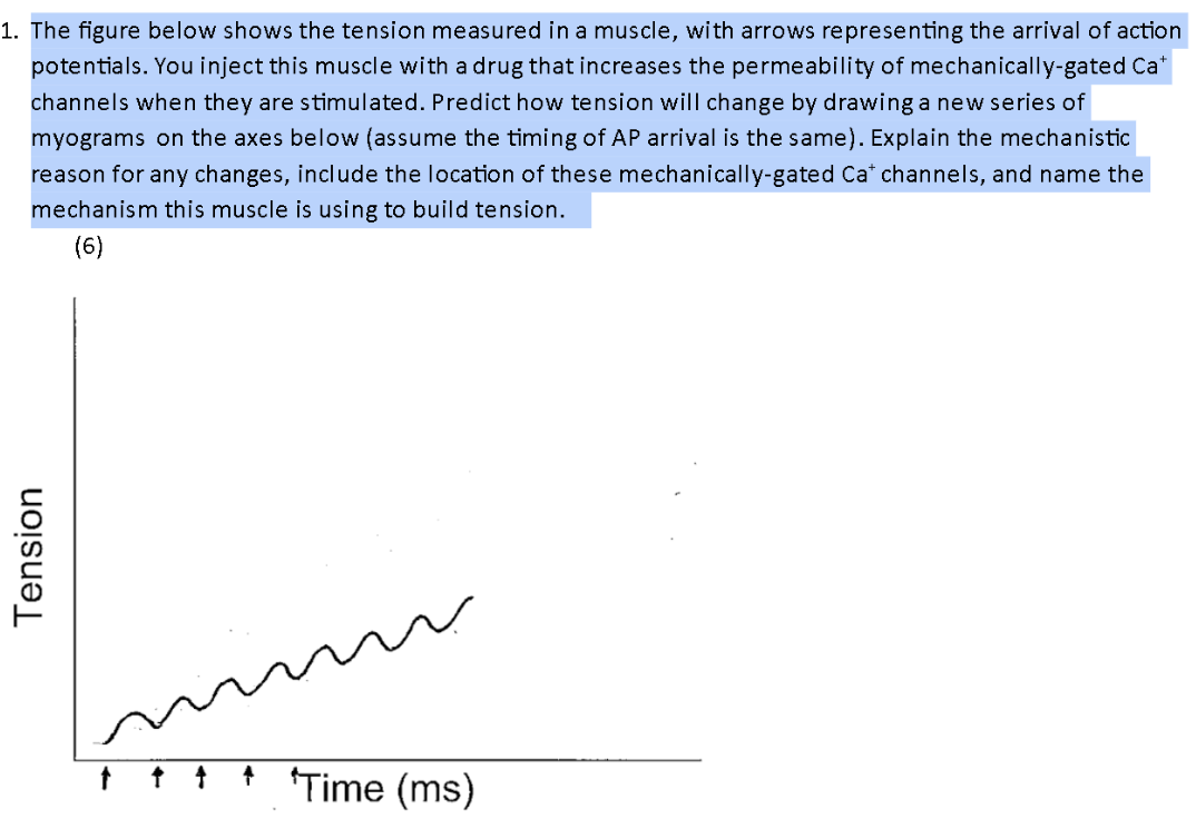 1 The Figure Below Shows The Tension Measured In A Muscle With Arrows Representing The Arrival Of Action Potentials Y 1