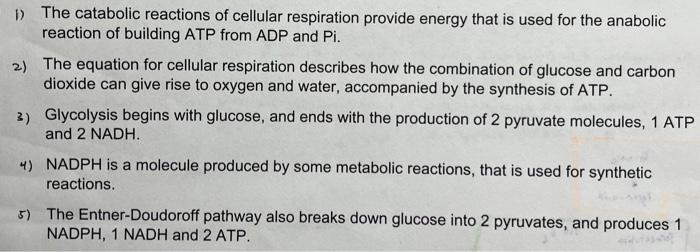 1 The Catabolic Reactions Of Cellular Respiration Provide Energy That Is Used For The Anabolic Reaction Of Building Atp 1
