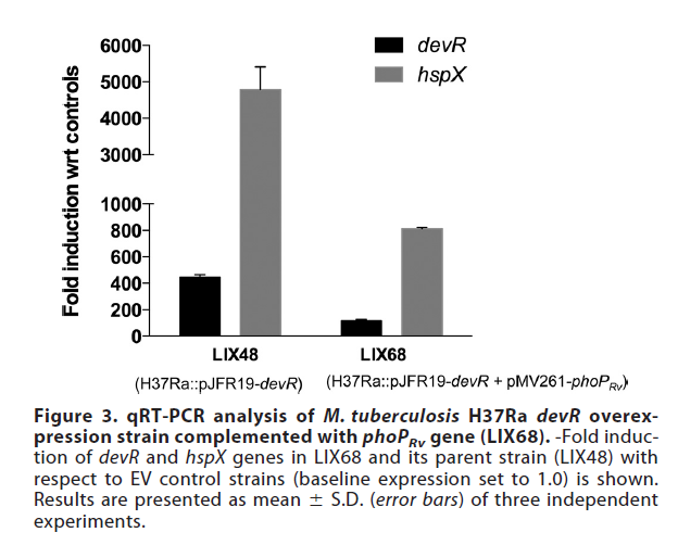 Devr And Hspx Are Two Promoters Controlled By Devr And Phop The Strain Lix48 Overexpresses Makes A Lot Of Devr But No 1