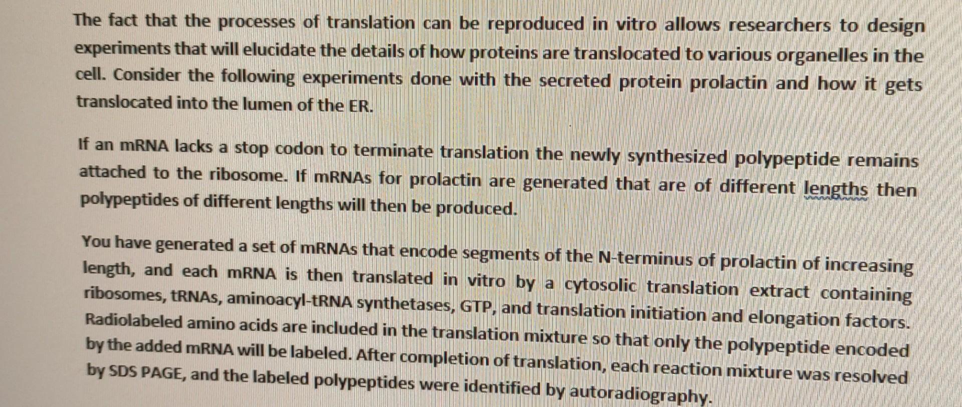 The Fact That The Processes Of Translation Can Be Reproduced In Vitro Allows Researchers To Design Experiments That Will 1