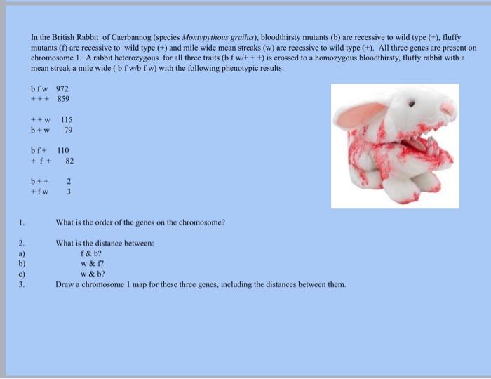 1 29ge3 In The British Rabbit Of Caerbannog Species Montypythous Grailus Bloodthirsty Mutants B Are Recessive To W 1