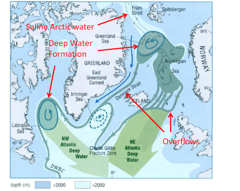 00 Saline Arctic Water Labrador Sea 60 W Depth M Deep Water Sea Formation Greenland East Greenland Current Dwbc Irmin 1