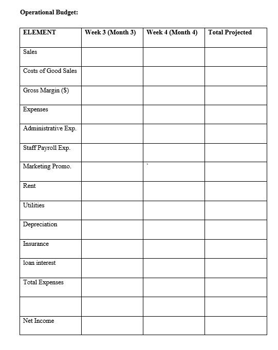 Can You Help Me With The Projected Budget Use The Information From The Financial Statements Income Statement Balance 6