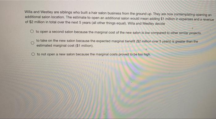 Willa And Westley Are Siblings Who Built A Hair Salon Business From The Ground Up They Are Now Contemplating Opening An 1