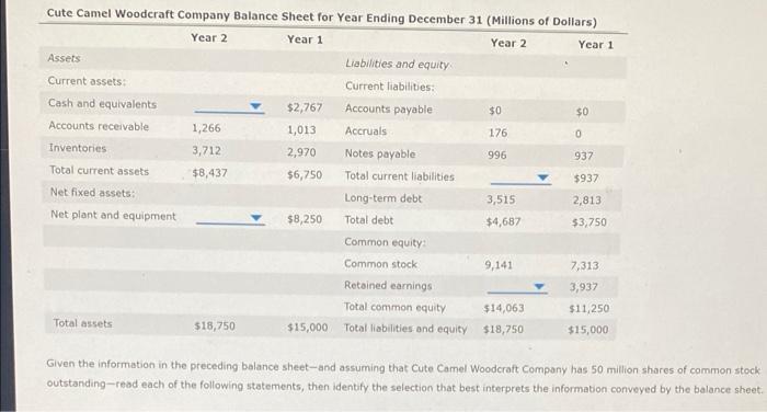 Cute Camel Woodcraft Company Balance Sheet For Year Ending December 31 Millions Of Dollars Year 2 Year 1 Year 2 Year 1 1