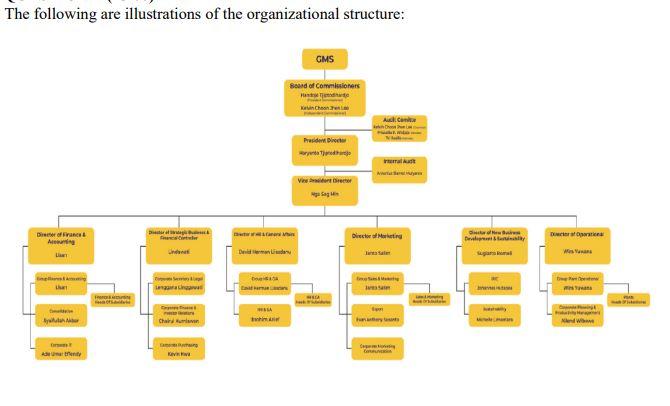 The Following Are Illustrations Of The Organizational Structure Gms Board Of Commissioners Aus Cont P Ieral Ad Disser A 1