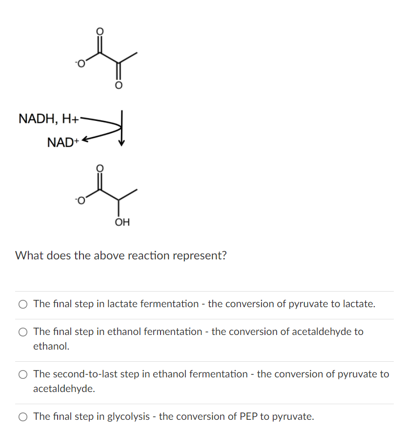 Nadh H V Nad Oh What Does The Above Reaction Represent O The Final Step In Lactate Fermentation The Conversion O 1