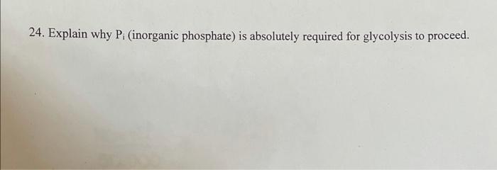 24 Explain Why P Inorganic Phosphate Is Absolutely Required For Glycolysis To Proceed 1