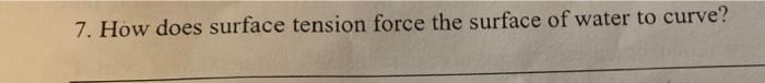 7 How Does Surface Tension Force The Surface Of Water To Curve 1