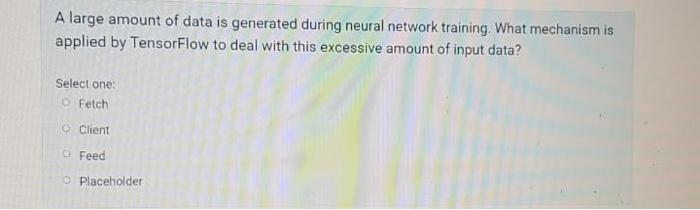 A Large Amount Of Data Is Generated During Neural Network Training What Mechanism Is Applied By Tensorflow To Deal With 1