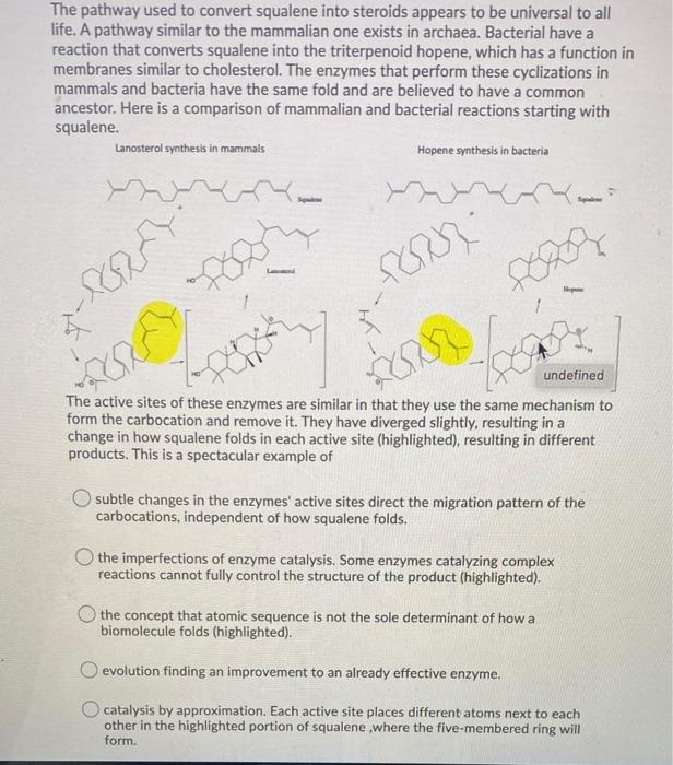 The Pathway Used To Convert Squalene Into Steroids Appears To Be Universal To All Life A Pathway Similar To The Mammali 1