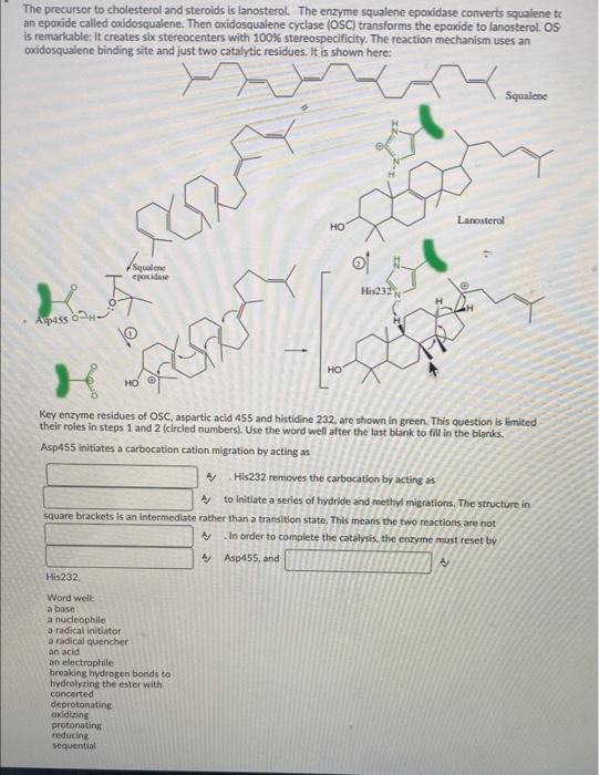 The Pathway Used To Convert Squalene Into Steroids Appears To Be Universal To All Life A Pathway Similar To The Mammali 2