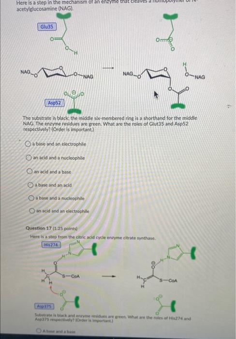 The Pathway Used To Convert Squalene Into Steroids Appears To Be Universal To All Life A Pathway Similar To The Mammali 3