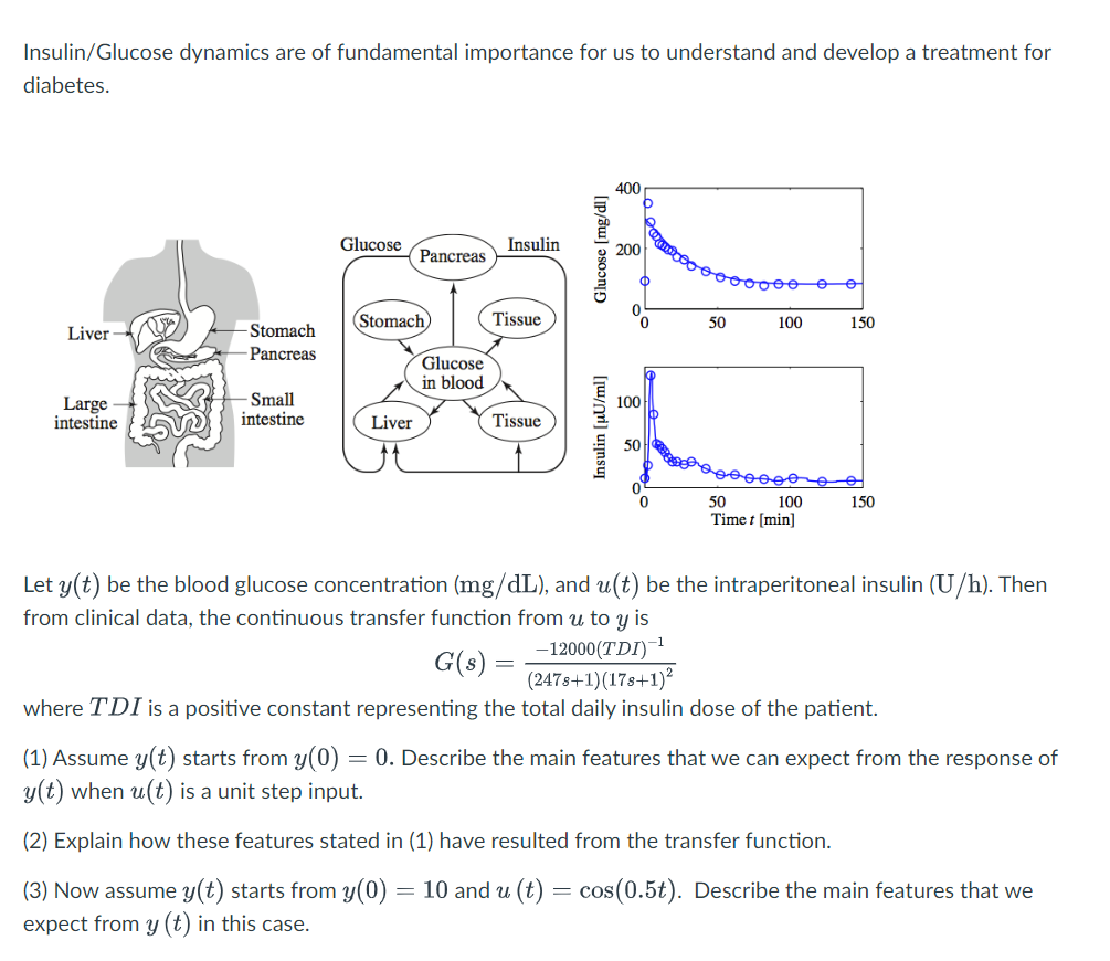 Insulin Glucose Dynamics Are Of Fundamental Importance For Us To Understand And Develop A Treatment For Diabetes 400 Gl 1