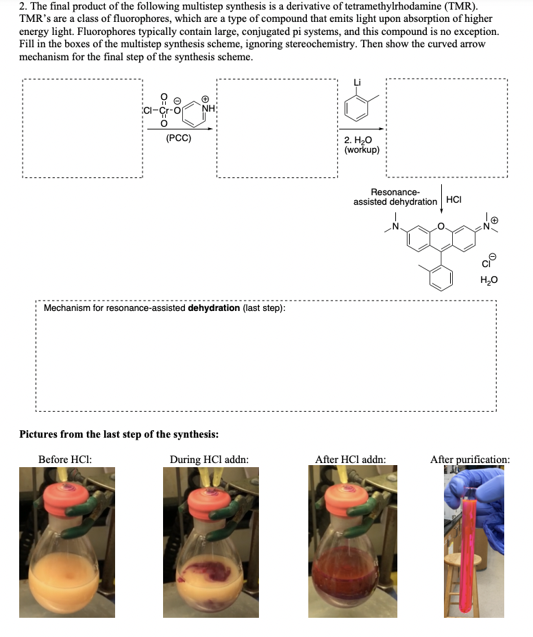 2 The Final Product Of The Following Multistep Synthesis Is A Derivative Of Tetramethylrhodamine Tmr Tmr S Are A Cla 1