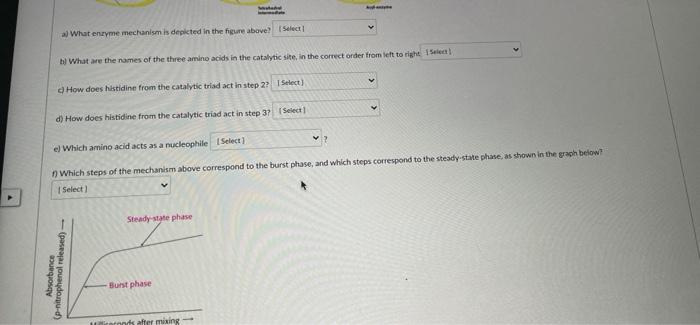 Based On The Diagram Below Answer The Following Questions Jo Oxanion Fole Gh Tetrahedral Intermediate Aylnym Mp Mity A 2