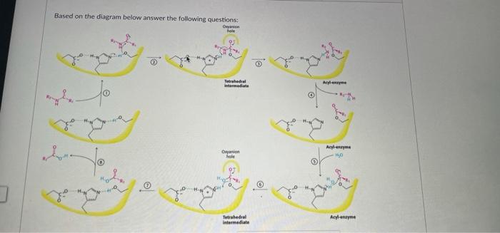 Based On The Diagram Below Answer The Following Questions Organon Hole Tetrahedral Intermediate Jo Lo Oryanion Hole 97 1