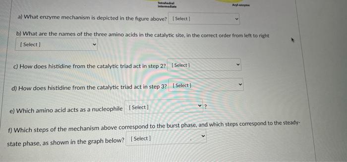 Based On The Diagram Below Answer The Following Questions Organon Hole Tetrahedral Intermediate Jo Lo Oryanion Hole 97 2