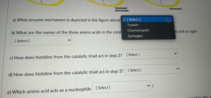 Based On The Diagram Below Answer The Following Questions Organon Hole Tetrahedral Intermediate Jo Lo Oryanion Hole 97 4